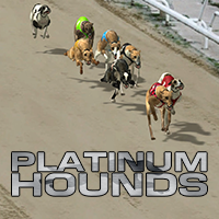 platinum-hounds